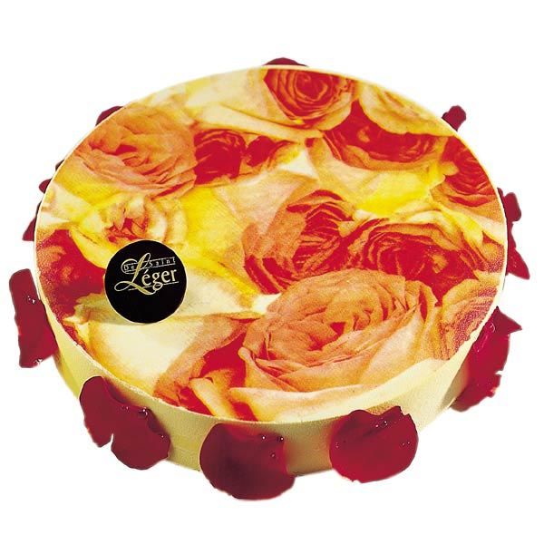 Transfer p/ gelados - 40 x 60 cm -